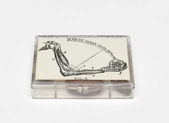 (.1) A 7-compartment clear plastic box with a label attached to the lid; contains (.2-.8) 7 rocks...