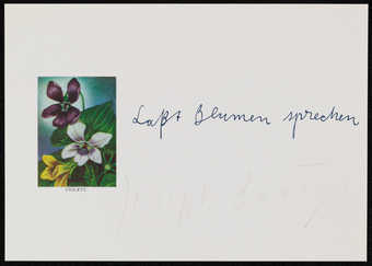 Theme from sugar packets found by Beuys in America. Printed on reverse UL corner:...