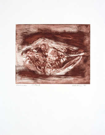 An image of a sheep (?) skull in brown