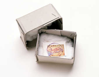 Color lithograph of hare; sugar packet with illustration of hare in cardboard box, packed with...