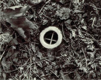 An image of a sink drain installed in the ground of a forest.