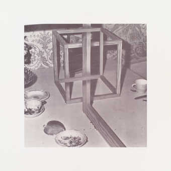 from a portfolio of 9 photolithographs with cover sheet and portfolio folder