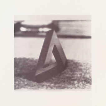 from a portfolio of 9 photolithographs with cover sheet and portfolio folder