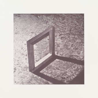 from a portfolio of 9 photolithographs with cover sheet and portfolio folder