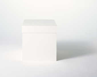 A group of plaster sheep and a white cardboard box.