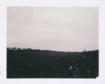 Seven black and white images of a landscape