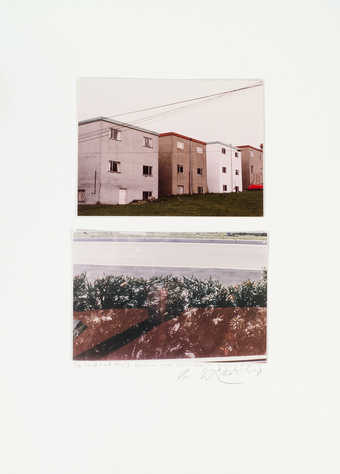 two color photographs mounted to board