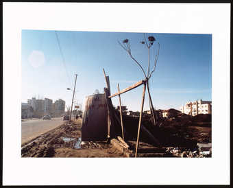 An image of graffitti on a concrete sewer tube