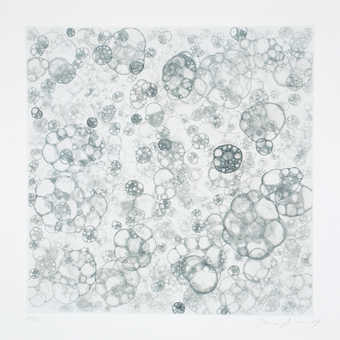 Prints executed by the artist applying etching acid to the plates using a drinking straw.