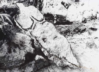 An image of a stone that has been painted with a female form by the artist