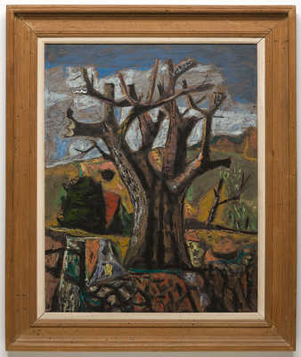 Large tree with short branches in the foreground