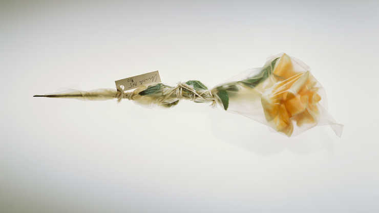 Plastic rose wrapped in polyethylene secured with string and staples. Cardboard label attached.