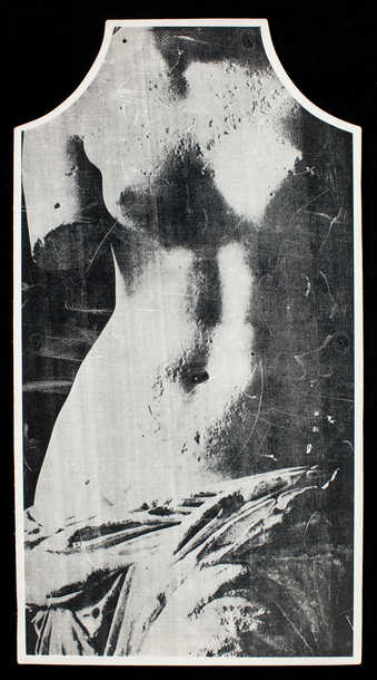 White vinyl apron with green backing and an image of Venus de Milo printed in black.